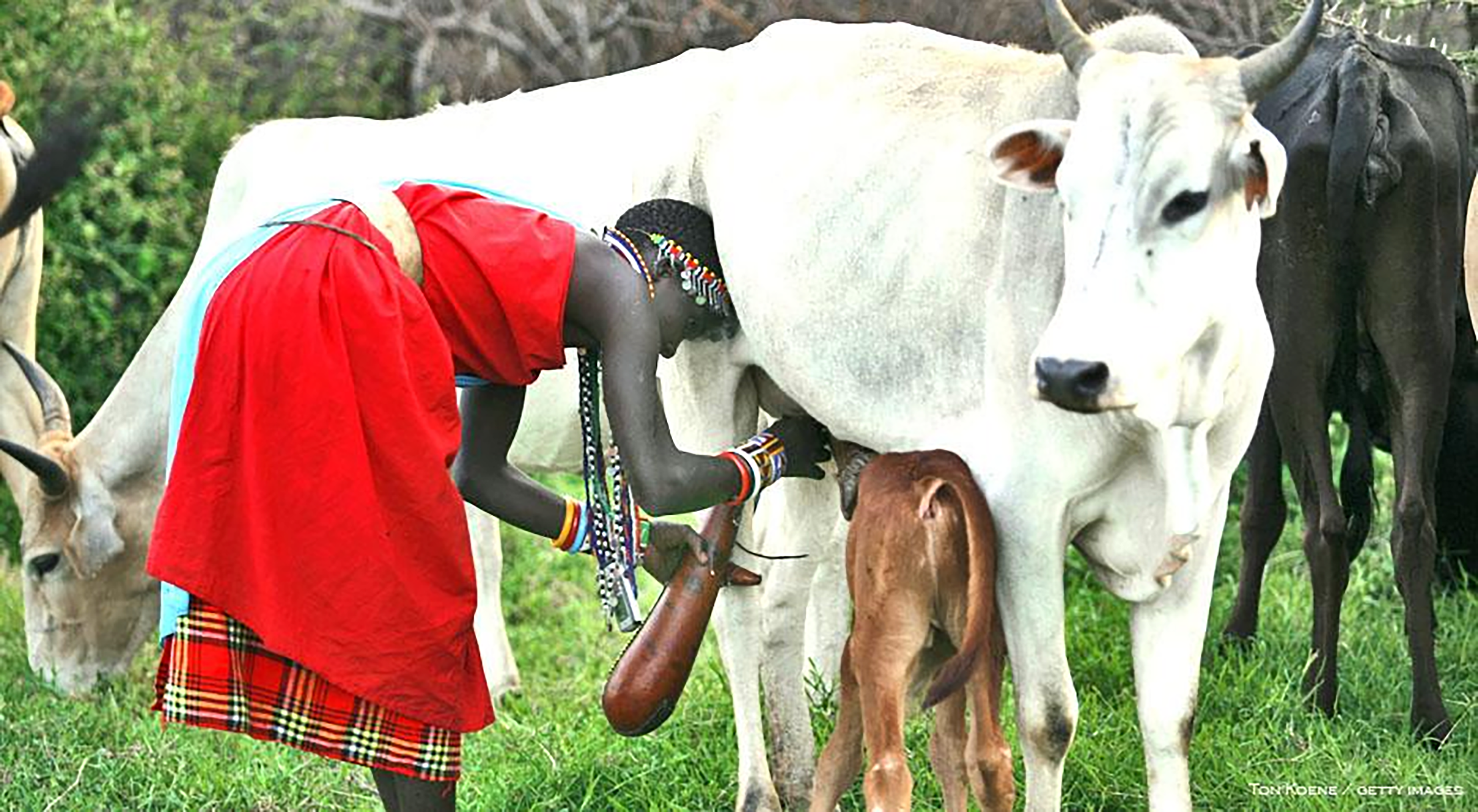 Kalenjin language class